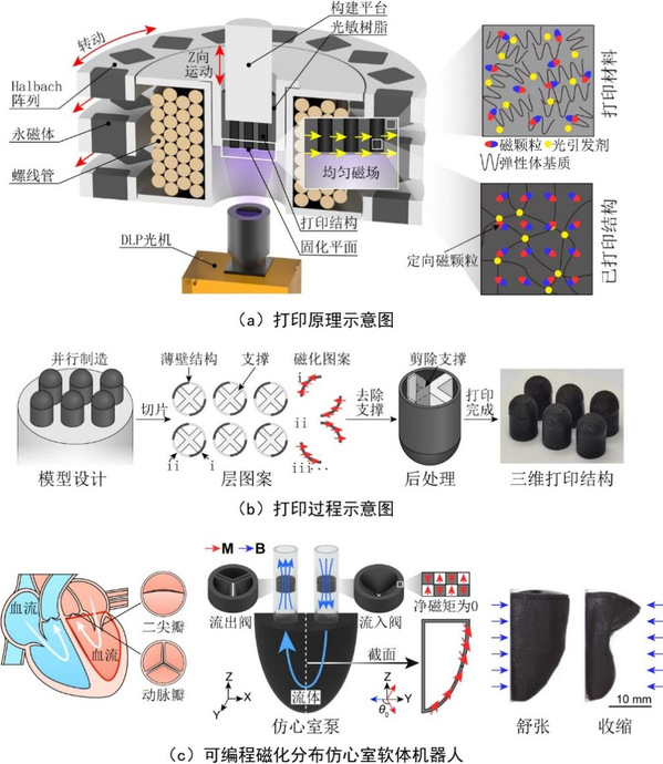 亚洲在线赌博平台导航